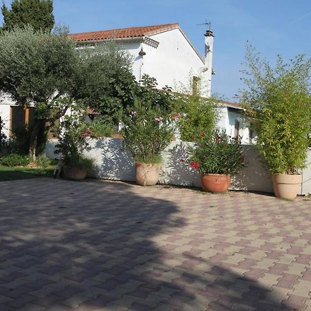 Site Machambreencamargue Vauvert Zewnętrze zdjęcie